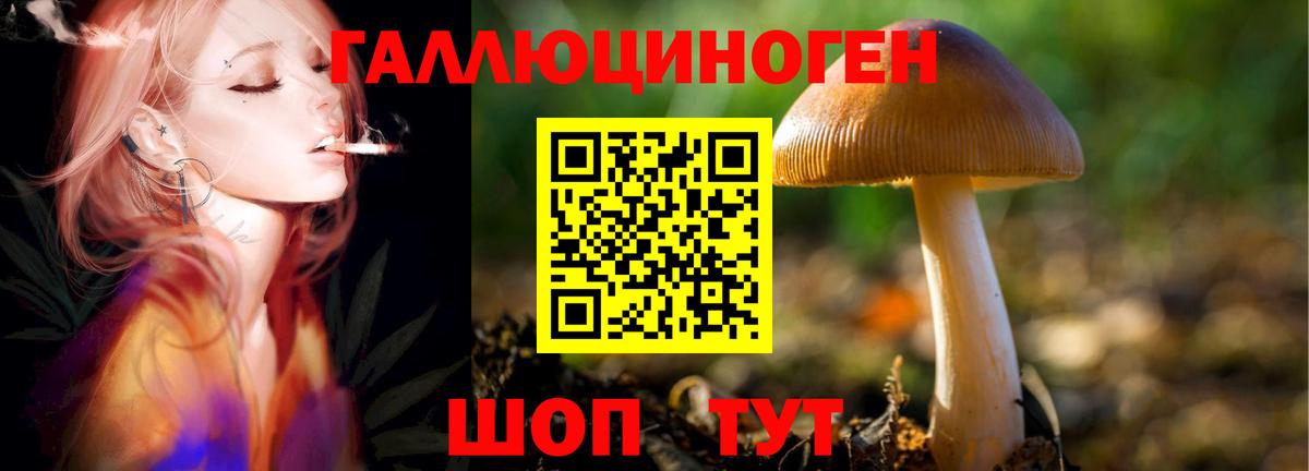 Псилоцибиновые грибы Psilocybine cubensis  Вход с VPN  Стрежевой 